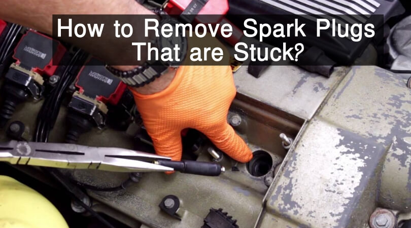 remove spark plugs